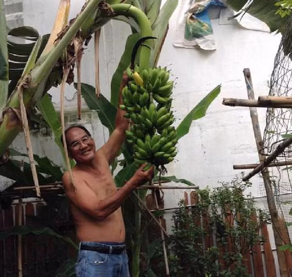 Bố Tăng Thanh Hà thích thú khoe thành quả mình ươm trồng trong thời gian dài. Ảnh: Zing