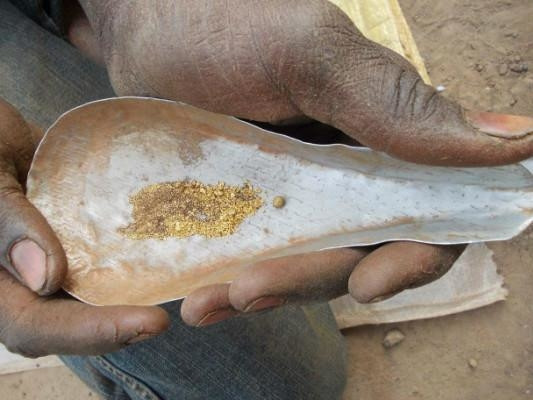 Số người tham gia vào những đội đào vàng nhiều không đếm xuể. Thậm chí trẻ con cũng tham gia vào công việc vất vả này. Ảnh: Getty