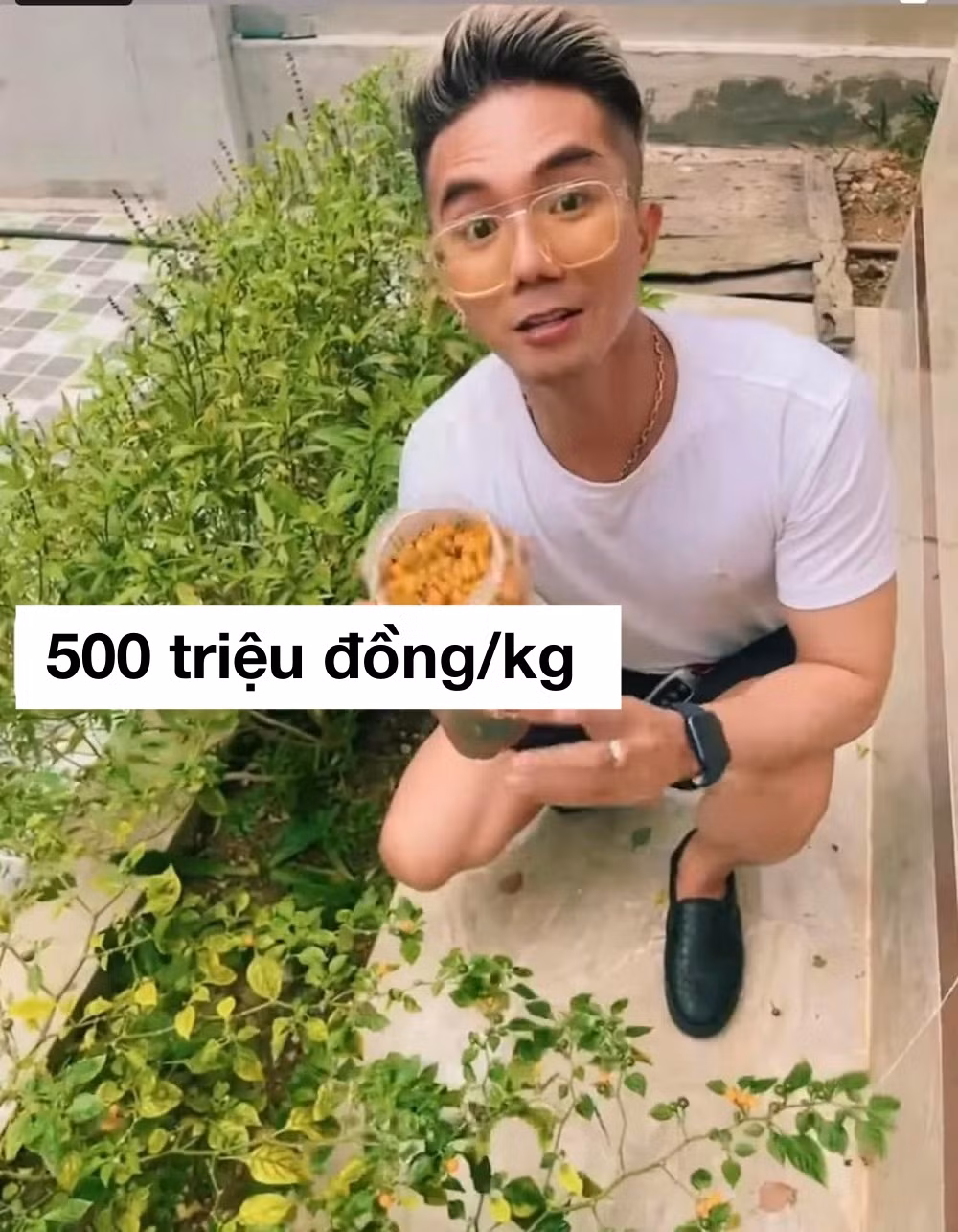 Su that ve loai ot nua ty dong/kg, Khanh Don trong trong vuon