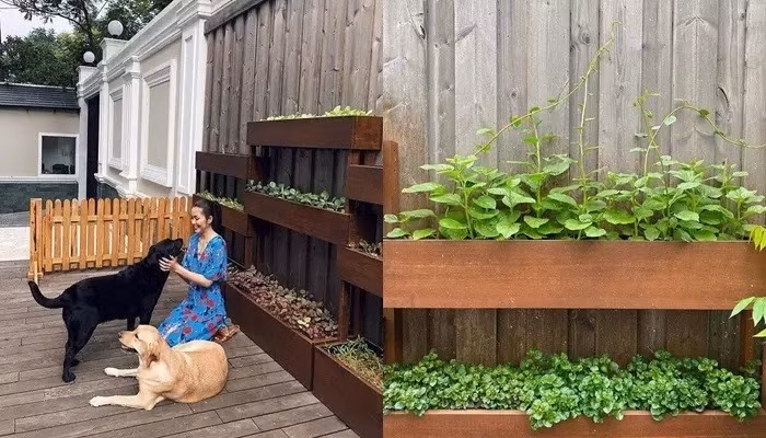 Trong nhà còn có khu vườn trồng đủ các loại rau xanh và cây ăn trái. Ảnh: FBNV