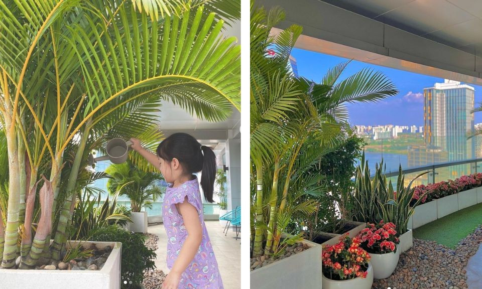 Đặng Thu Thảo trồng nhiều loại cây cảnh kết hợp hoa trong sân vườn. Ảnh; FBNV