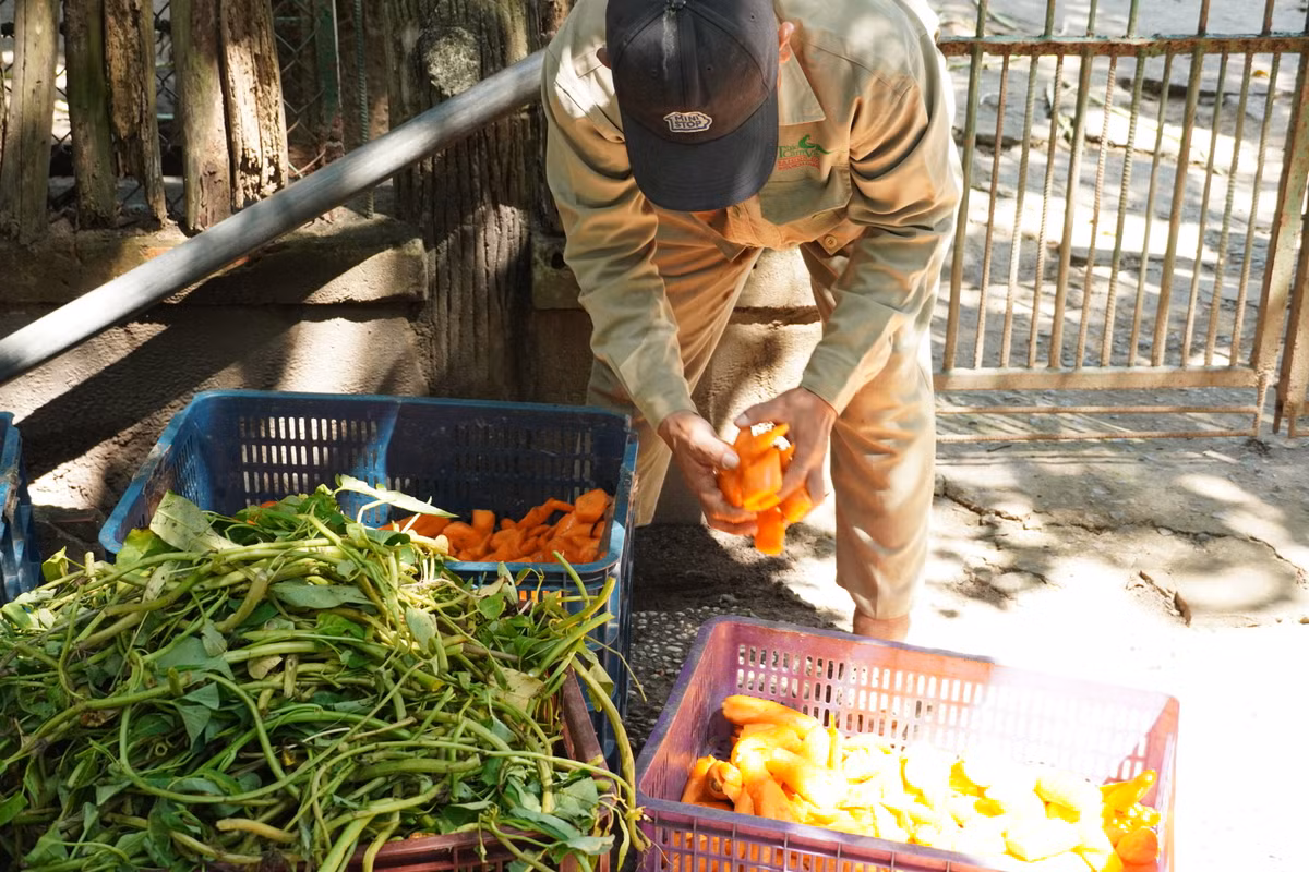 Thao cam vien Sai Gon 'qua tai' trong ngay dau nam 2022-Hinh-12