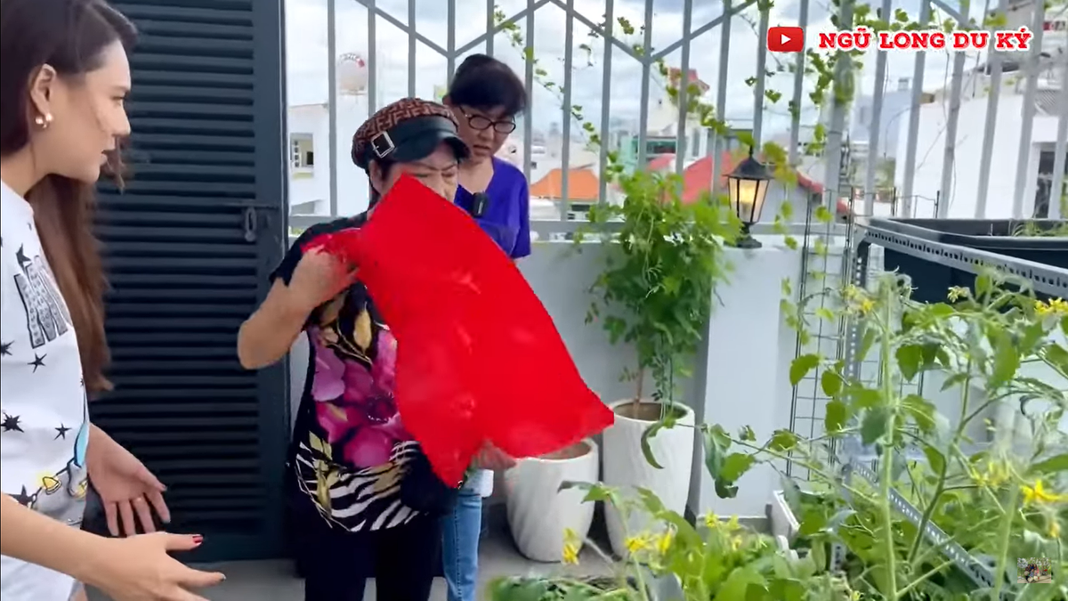 Sân thượng phía trước được nữ diễn viên dùng để nuôi mấy chục con thú cưng và làm nơi thư giãn, hóng mát mỗi tối. Ảnh: Youtube Ngũ long du ký