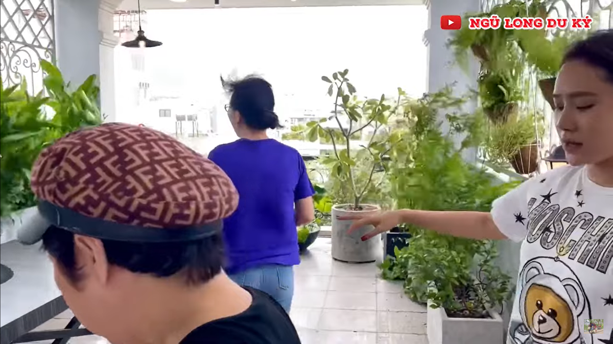 Tại khu vực sân thượng phía sau, Hồ Bích Trâm trồng đủ các loại cây, rau củ quả như mướp đắng, dưa leo, rau răm, rau quế, mùng tơi…Ảnh: Youtube Ngũ long du ký