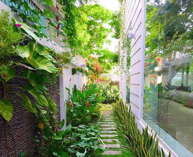 Ngay từ cổng vào, lối đi và tường rào, MC Quyền Linh - Dạ Thảo đã biết cách tận dụng những khoảng trống để trồng thêm cây xanh và hoa.