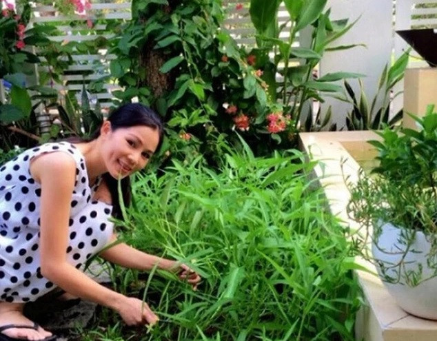 Các loại rau cũng tốt um.