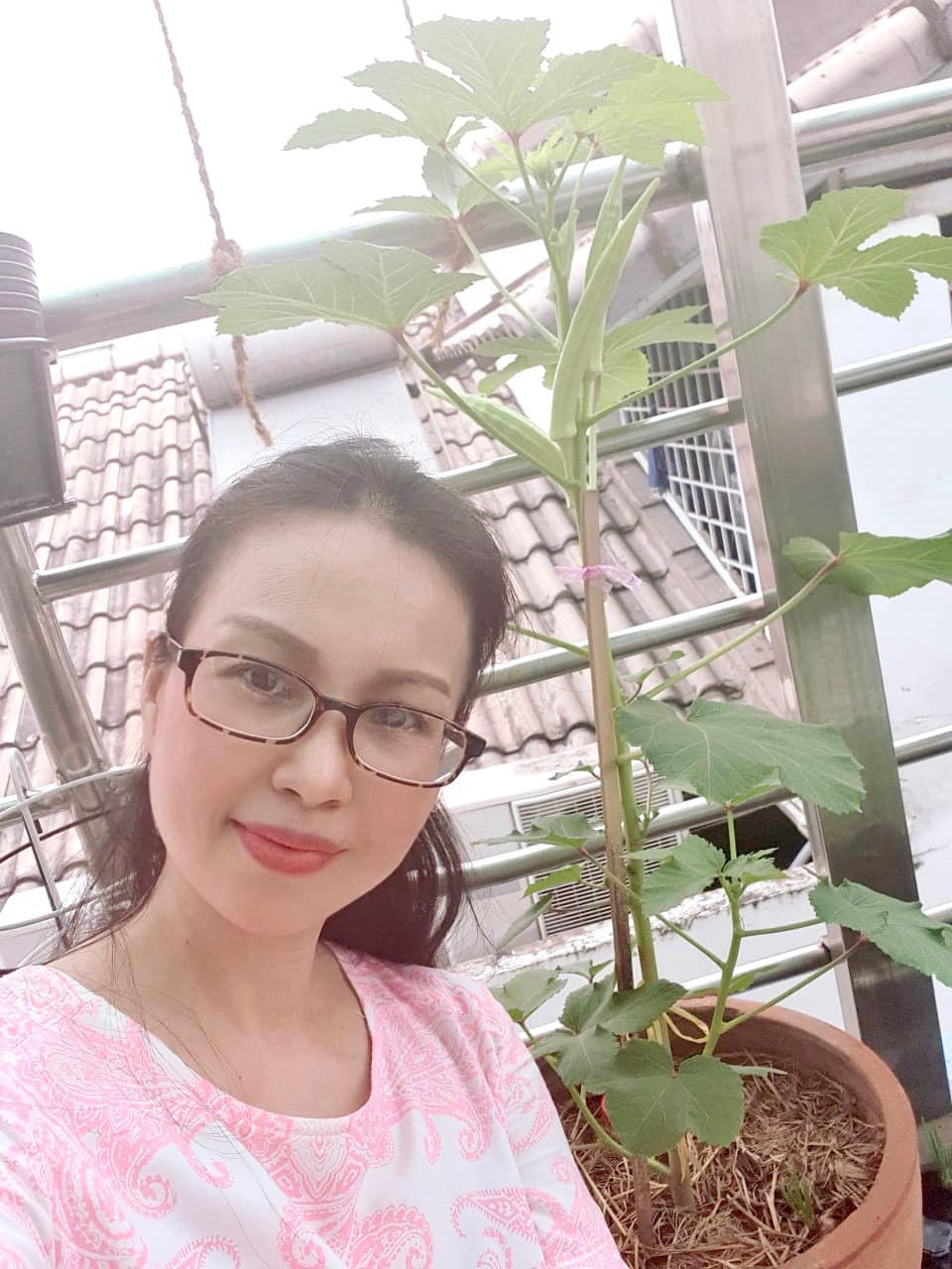 Trong nhà, ca sĩ Cẩm Ly tự tạo cho mình một khu vườn trên sân thượng để “tự cung tự cấp" nguồn rau sạch cho cả gia đình. Ảnh: FB Cẩm Ly