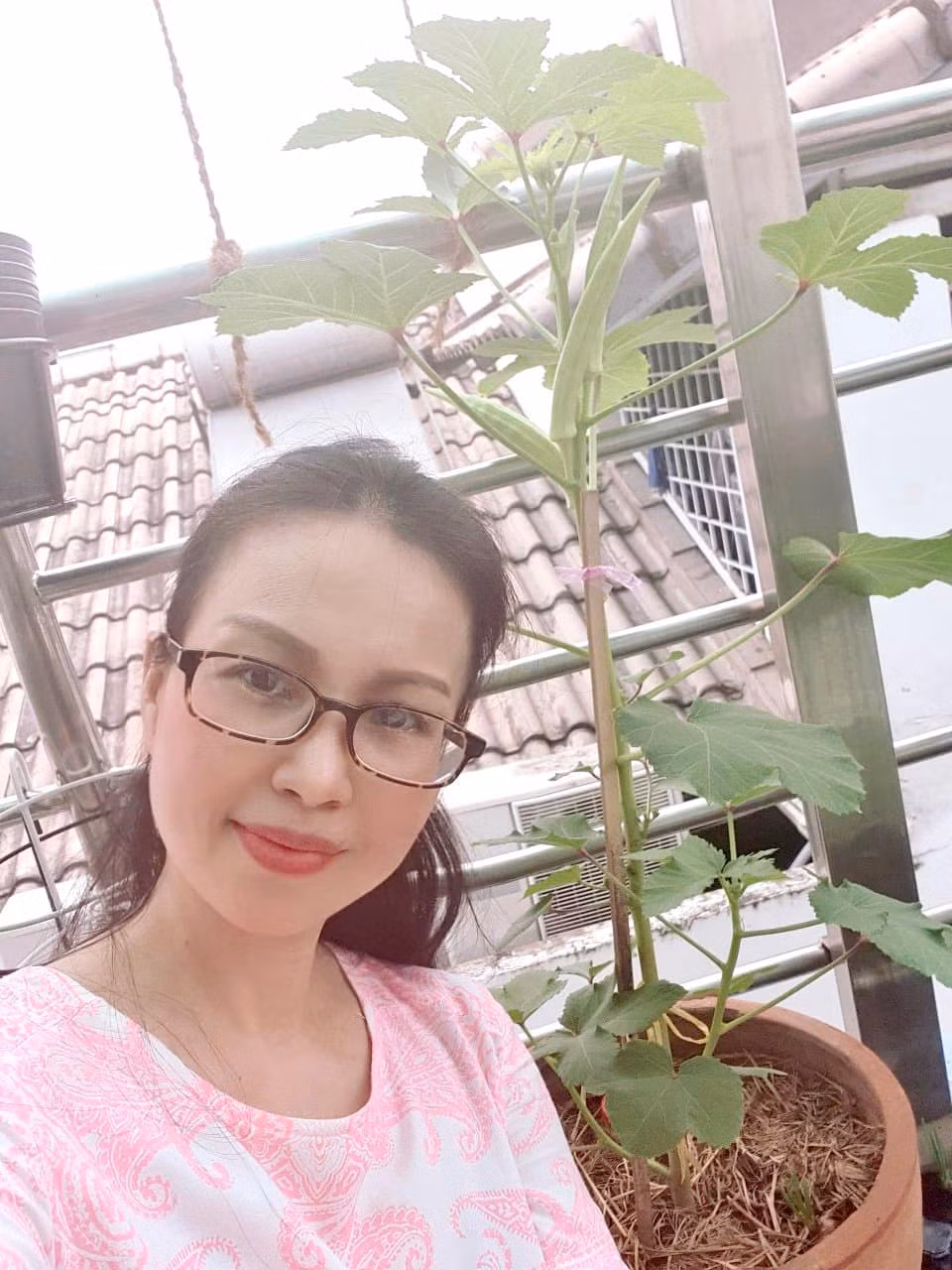 Trong nhà, ca sĩ Cẩm Ly tự tạo cho mình một khu vườn trên sân thượng để “tự cung tự cấp" nguồn rau sạch cho cả gia đình. Ảnh: FB Cẩm Ly