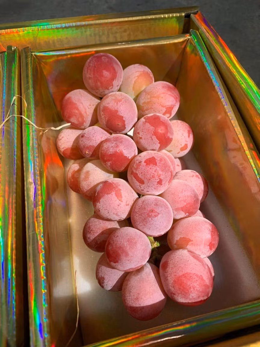 Hầu hết loại nho này được bán theo chùm, không bán theo cân. Giá mỗi chùm nho Ruby Roman dao động từ 400.000 - 700.000 đồng, thậm chí có nơi bán chỉ 350.000 đồng. Ảnh: Facebook