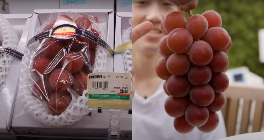  Nho Ruby Roman là loại nho nổi tiếng của Nhật Bản được xem là loại nho đắt nhất thế giới. Trong một phiên đấu giá, một chùm nho Ruby Roman được mua với giá lên tới 250 triệu đồng. Ảnh: NextShark