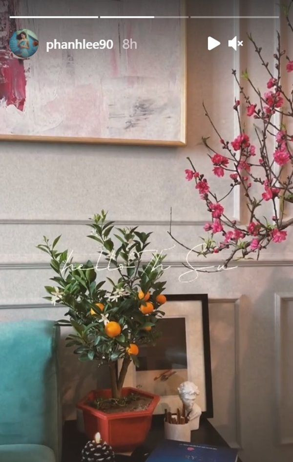 Phanh Lee biến những loại hoa thường thấy hay cây quất bé trông có hồn hơn. Ảnh: Instagram