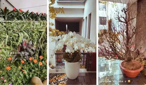 Vào dịp Tết, nữ diễn viên trang trí nhà bằng nhiều loại hoa tươi như đào, quất, lan...Ảnh: Instagram