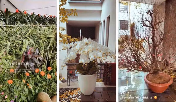 Vào dịp Tết, nữ diễn viên trang trí nhà bằng nhiều loại hoa tươi như đào, quất, lan...Ảnh: Instagram