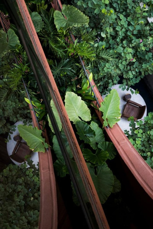 Hành lang xung quanh tầng 1 mở rộng ra ngoài vườn.