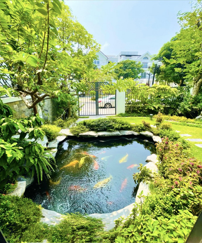 Trong vườn thiết kế hồ cá Koi đẹp mắt.