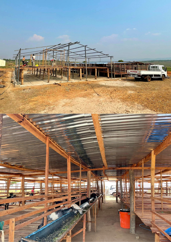 Phía trước trang trại còn có một khoảng trống lớn để trồng cỏ và cho xe ra vào dễ dàng.