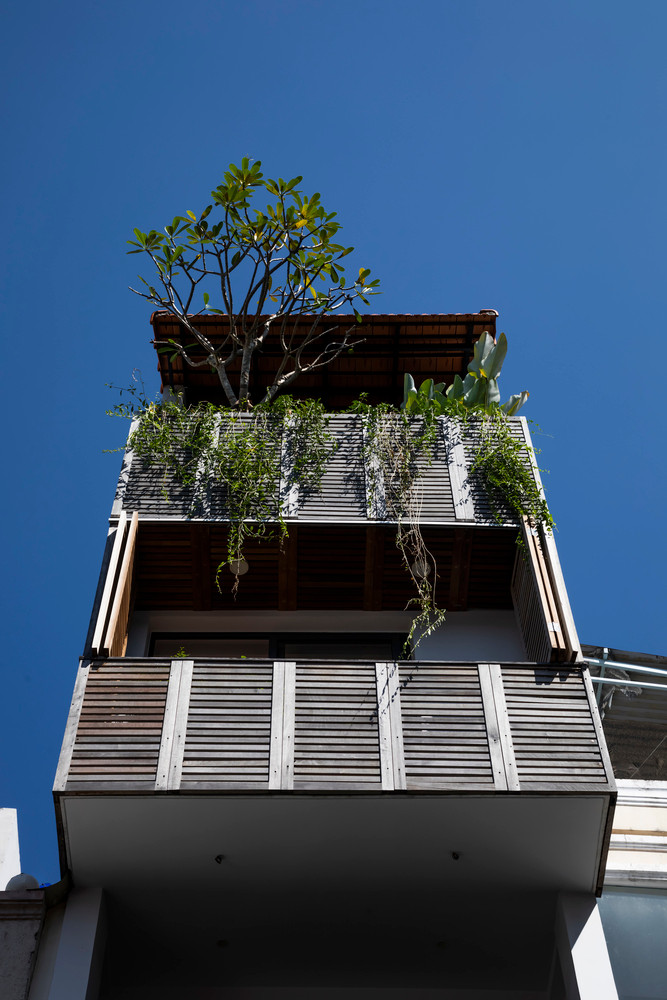 Ngoài ra, kiến trúc sư còn tận dụng ô cửa sổ tái chế và cây dây leo tạo điểm nhấn cho ngôi nhà.