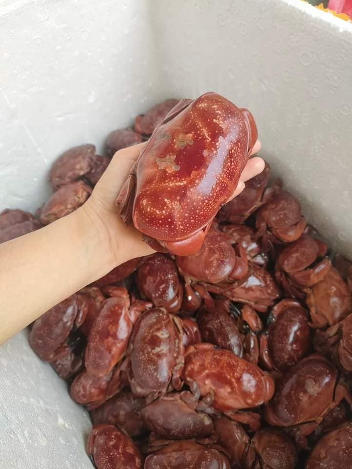 Dịp này, cù kỳ đang hút khách nên có ngày chị Hoa đổ buôn được cả tạ cù kỳ. Ảnh: Facebook