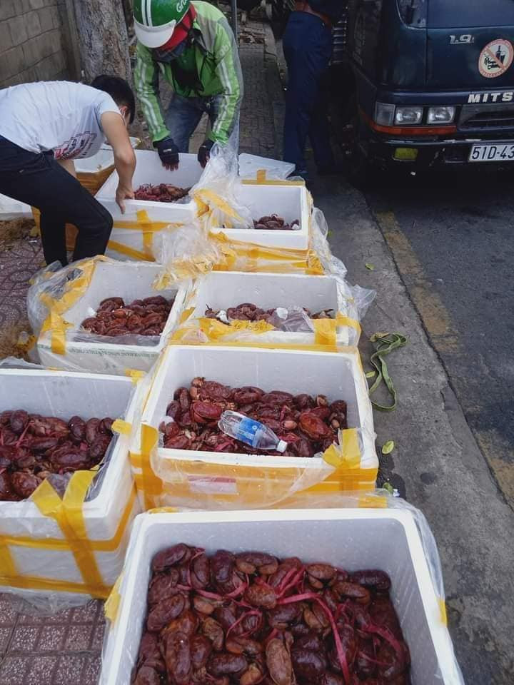 Ngoài bán theo con, một số cửa hàng rao bán cù kỳ đỏ với giá 120.000-150.000 đồng/kg. Ảnh: Facebook