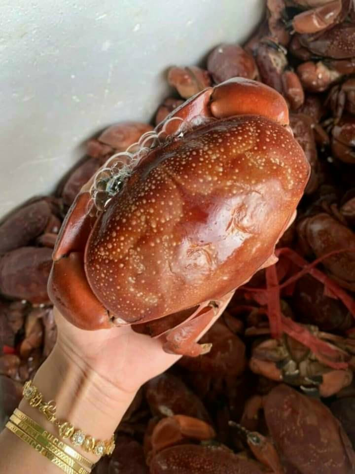 Rao bán cù kỳ với giá chỉ 19.000 đồng/con, anh Nam, chủ cửa hàng hải sản ở Cổ Nhuế (Bắc Từ Liêm, Hà Nội) cho biết, cù kỳ đỏ ít thịt nhưng gạch nhiều, thơm và ngậy nên được nhiều khách hàng yêu thích. Ảnh: Facebook