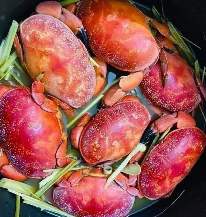 Chị Hoa (Quảng Ninh) cho biết, cù kỳ có quanh năm nhưng ngon nhất là từ tháng 4-7 hàng năm. Ảnh: Dân Việt