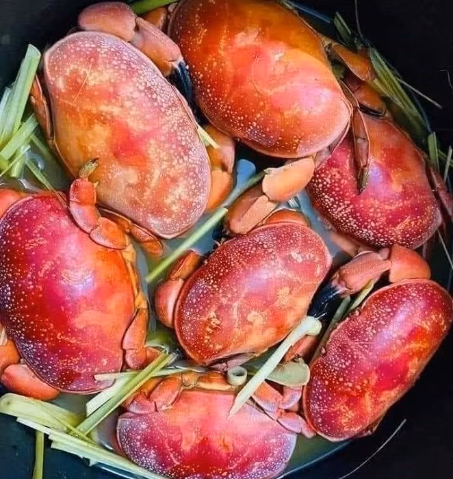 Chị Hoa (Quảng Ninh) cho biết, cù kỳ có quanh năm nhưng ngon nhất là từ tháng 4-7 hàng năm. Ảnh: Dân Việt