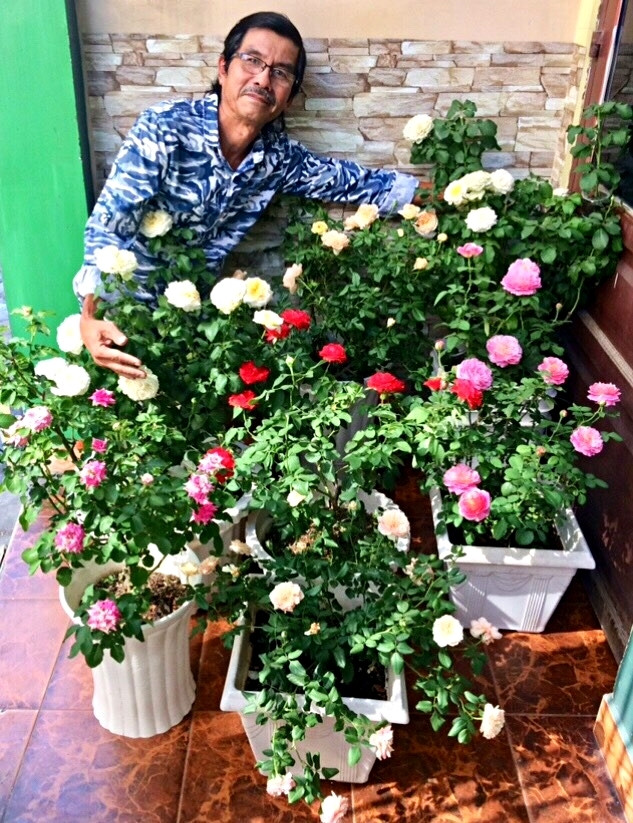 Thấy vườn hồng trên mái tôn đẹp mắt, nhiều người tìm đến tham quan, xin học hỏi kinh nghiệm từ ông Long. Ảnh: Dân trí.