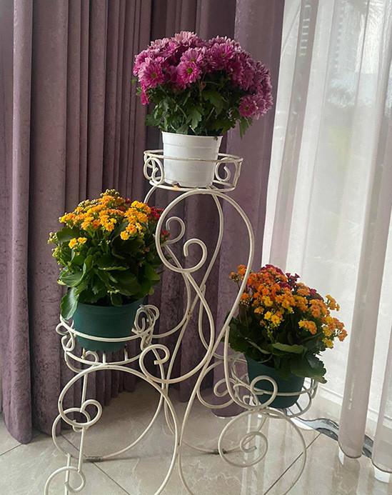 Bên trong biệt thự, Hoa hậu Giáng My mua thêm hàng chục chậu hoa mới để cả ngôi nhà tràn ngập sắc xuân. Ảnh: Ngoisao