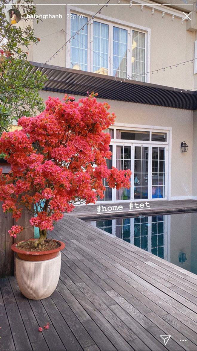 Bà xã Louis Nguyễn còn đặt thêm 1 chậu hoa giấy hồng rực 1 góc biệt thự triệu đô. Ảnh: FBNV