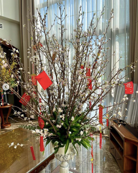 Căn biệt thự của Bảo Thy có khoảng sân rộng, phòng khách lớn với trần cao nên các cây và bình đều cao còn quá đầu người. Ảnh: FBNV