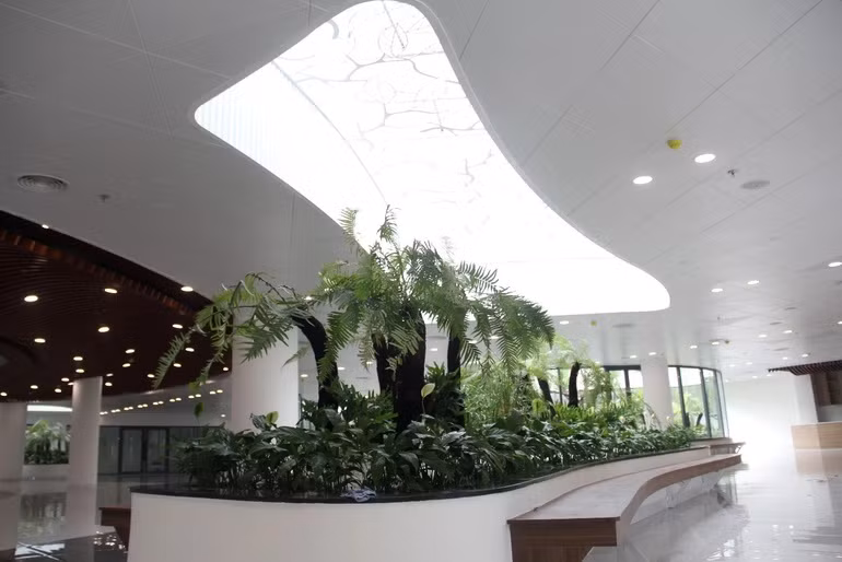 Công viên APEC mở rộng không chỉ thể hiện tinh thần hội nhập quốc tế, khát vọng vươn xa mà còn là mong ước về một thành phố xanh, thân thiện, hài hòa với thiên nhiên...Ảnh: Dân trí