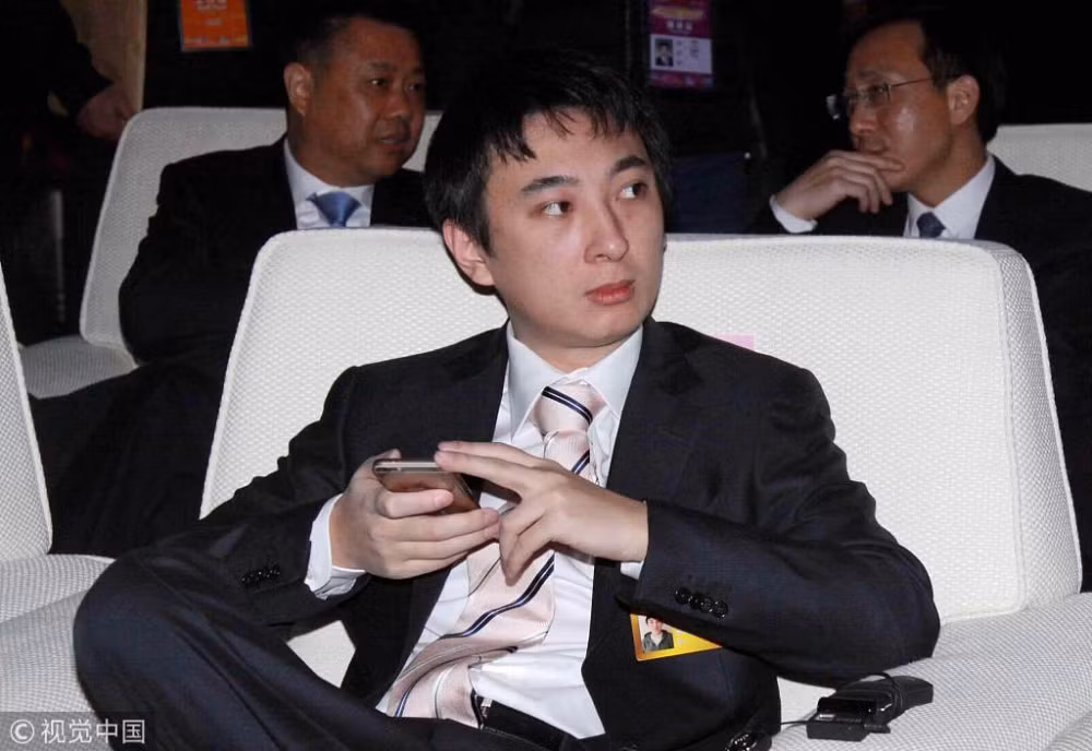 Với 500 triệu nhân dân tệ từ ông Vương để làm vốn kinh doanh, anh tự kiếm tiền bằng việc xây dựng để chế riêng trong lĩnh vực eSport và các dự án giải trí.