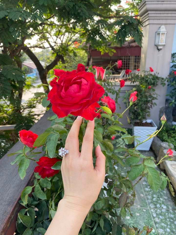 Nhiều người cho rằng khu vực bên ngoài biệt thự nhà Vy Oanh được thiết kế như vườn địa đàng.