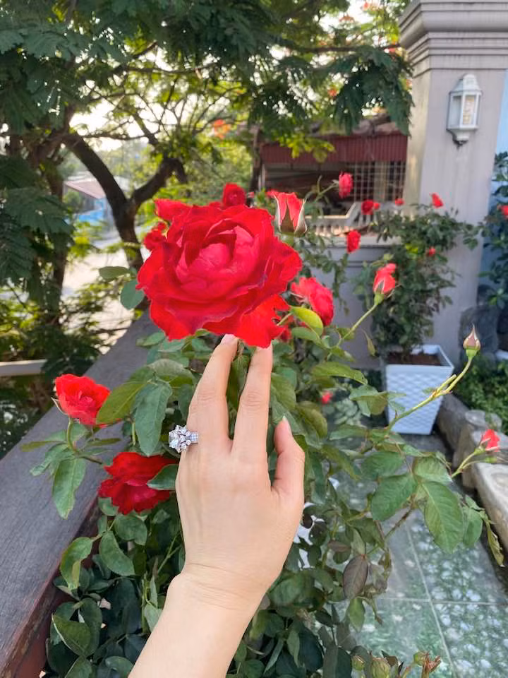 Nhiều người cho rằng khu vực bên ngoài biệt thự nhà Vy Oanh được thiết kế như vườn địa đàng.