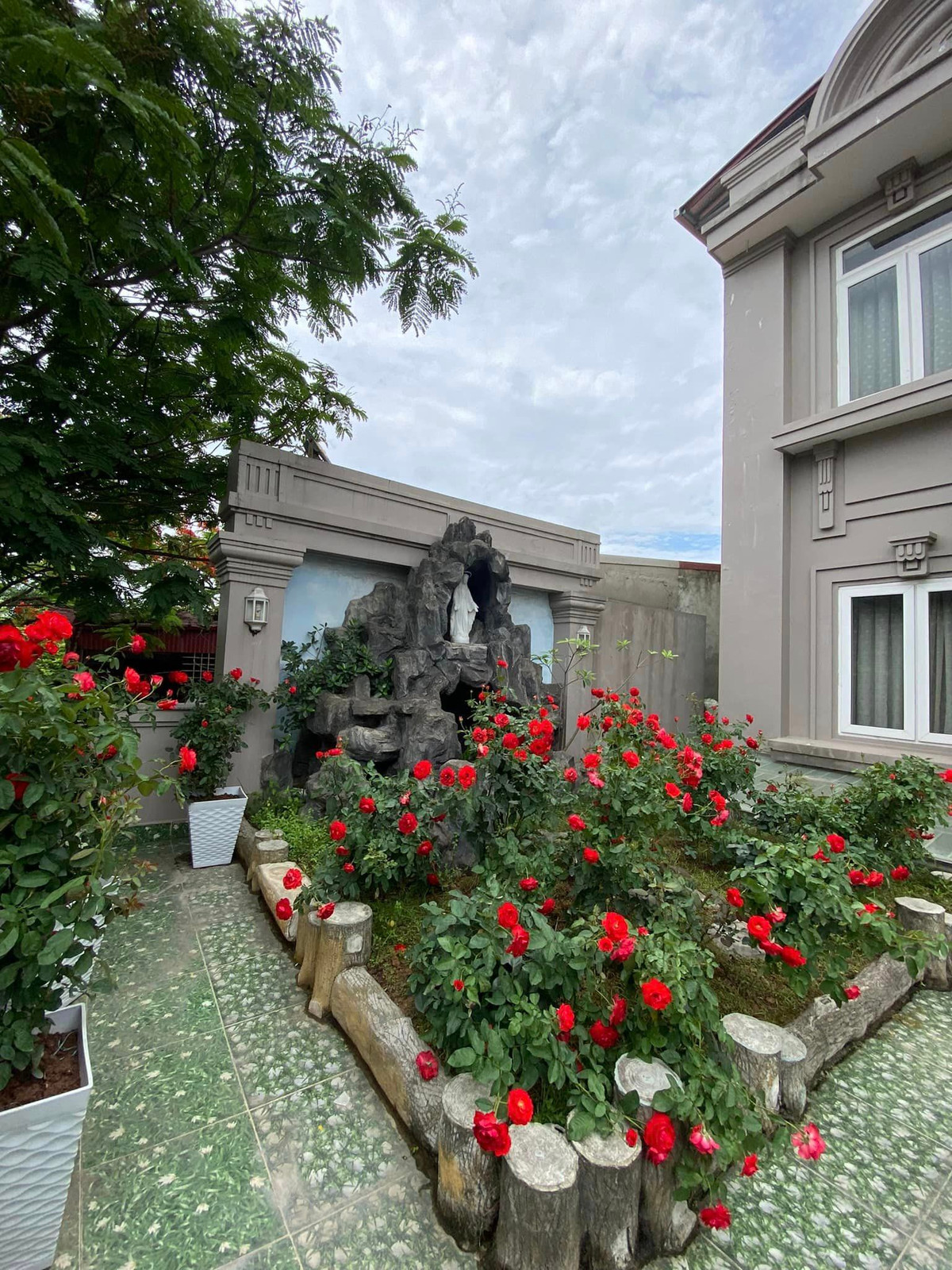 Tất cả các cây hồng đều cho ra bông hoa đỏ thắm, có cảm giác như lễ hội.