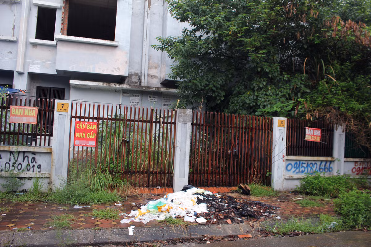 Bỏ hoang nhiều năm khiến nhiều ngôi nhà ở đây cỏ dại mọc um tùm, che hết lối đo. Ảnh: Tiền phong