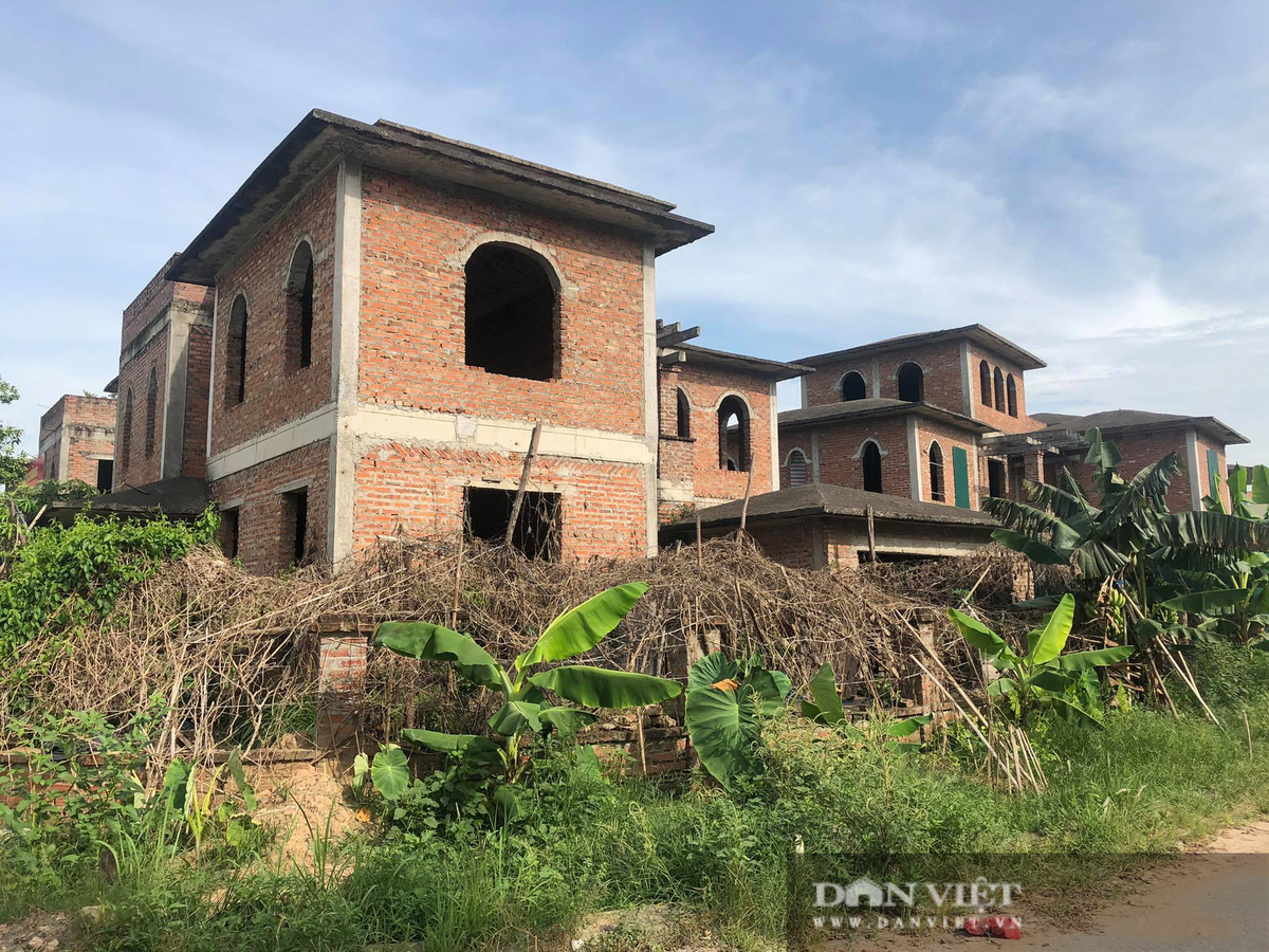 Xung quanh những căn biệt thự xây thô này là cây cối mọc um tùm. Ảnh: Dân Việt