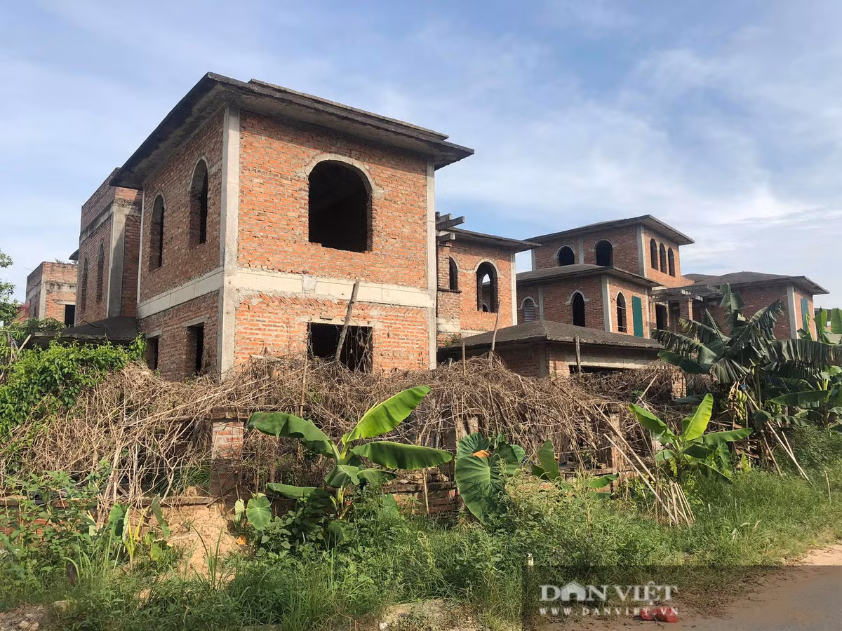 Xung quanh những căn biệt thự xây thô này là cây cối mọc um tùm. Ảnh: Dân Việt