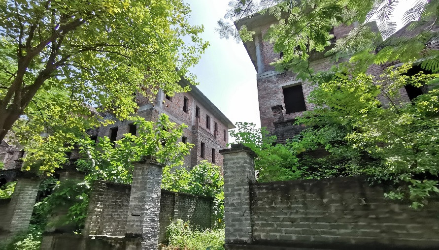 Nhiều căn biệt thự ở đây chung cảnh ngộ bỏ hoang, cây cối mọc um tùm. Ảnh: dân trí