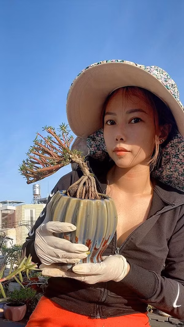 Theo chị Mỹ Nguyễn, khác với giống hoa mười giờ thường thấy, giống hoa mười giờ này nhập từ Trung Quốc. Ảnh: Arttimes