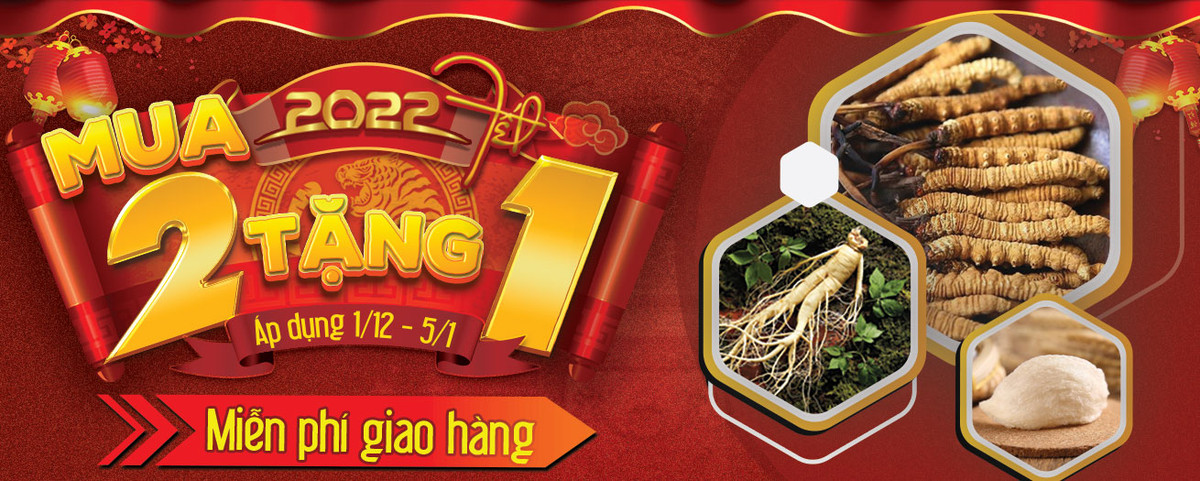 Sâm Ngọc Linh cũng trở thành quà biếu Tết hút khách dù mức giá siêu đắt đỏ. Ảnh: Samngoclinhtuoi