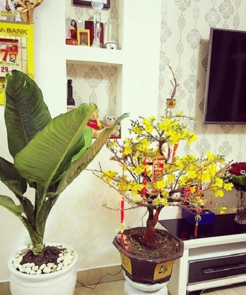 Trong nhà trang trí nhiều hoa tươi. Ảnh: Lao động