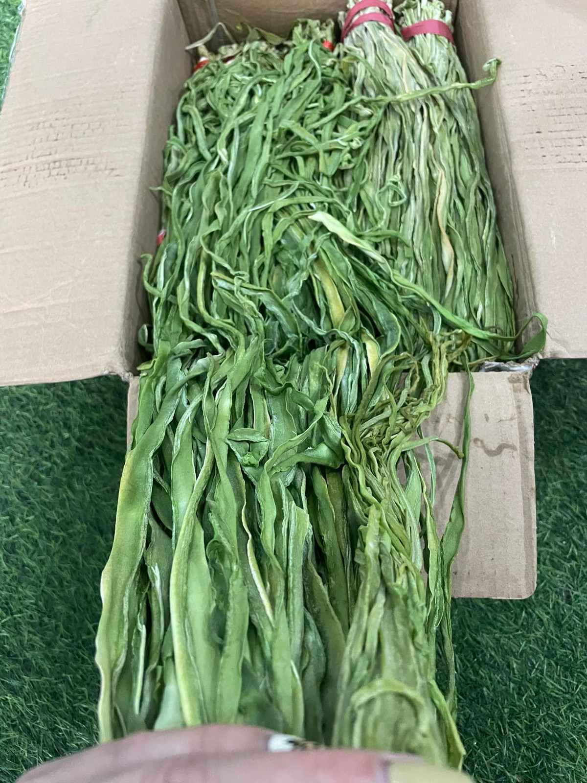 Rau tiến vua còn gọi là rau công sôi, rau cần biển, rau câu hay rau cần khô thường mọc ở vùng ven biển. Ảnh: Facebook