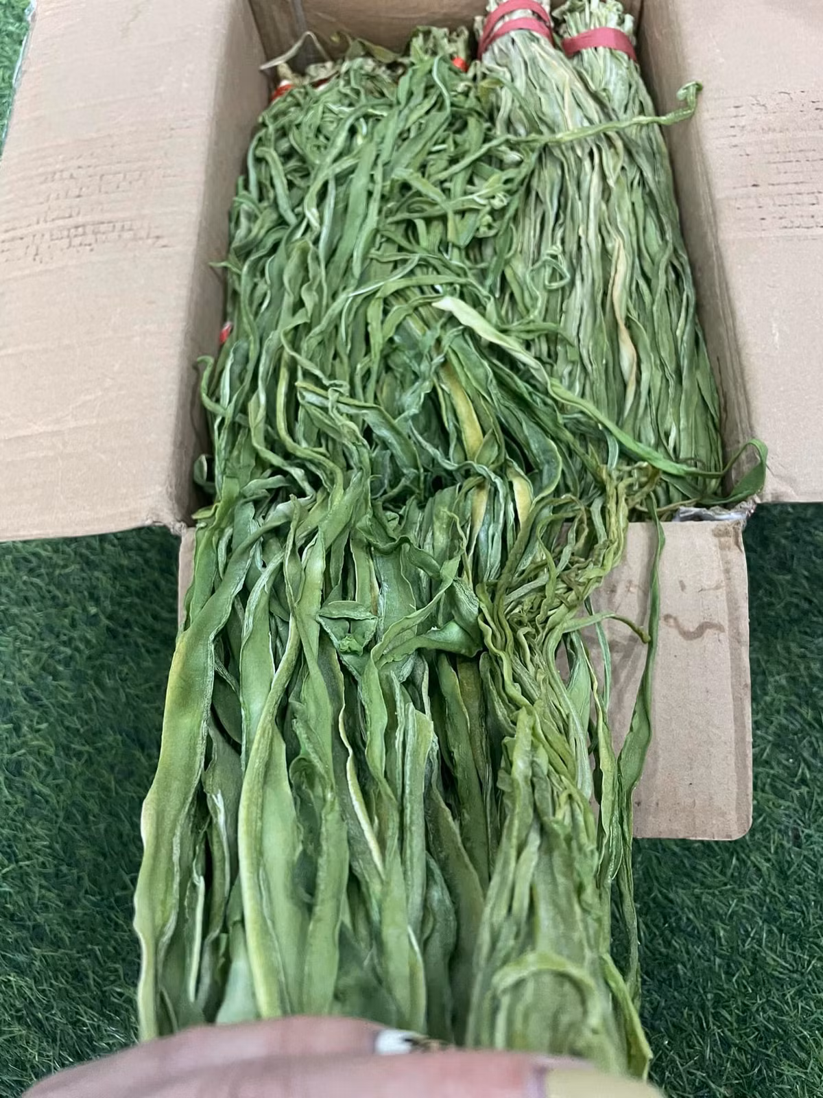 Rau tiến vua còn gọi là rau công sôi, rau cần biển, rau câu hay rau cần khô thường mọc ở vùng ven biển. Ảnh: Facebook