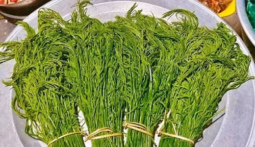 Đây được xem là phần lá ngon nhất, thường chỉ xuất hiện vào độ tháng 3, tháng 4 hàng năm. Ảnh: Vietnamnet