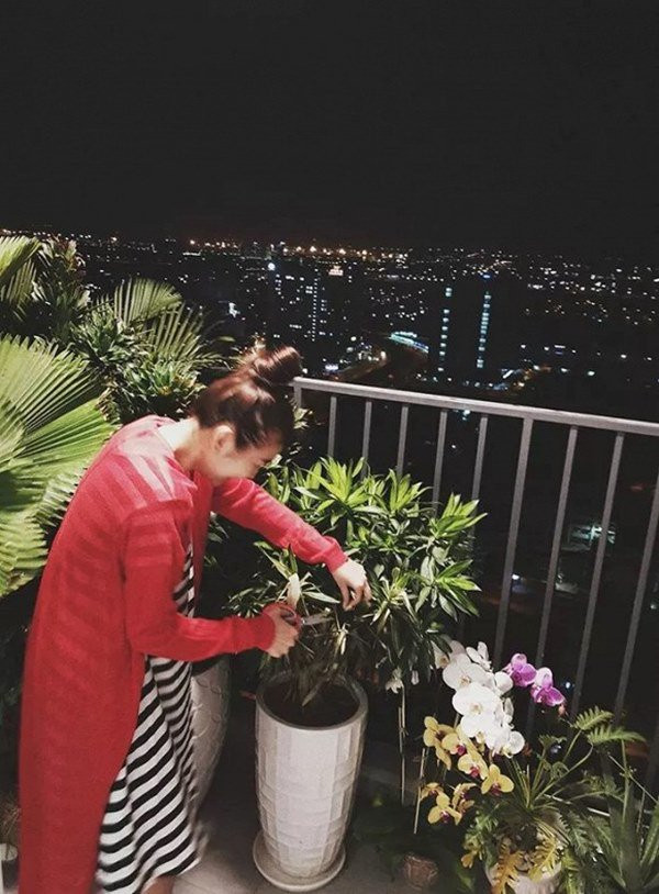 Tại khu vực ban công, Thanh Hằng trồng nhiều cây cảnh và hoa tươi. Nguồn ảnh: FBNV