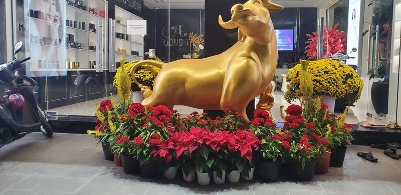 Ngôi nhà được thiết kế theo phong cách hiện đại, trang trí nhiều cây cảnh. Ảnh: Lao động