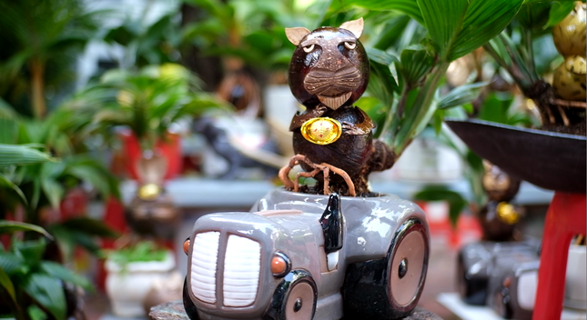 Đến thời điểm hiện tại, số lượng khách đặt dừa bonsai hình hổ khoảng 20-30%. Số lượng dao động từ 2-10 cây. Khách hàng chủ yếu mua về chưng Tết và biếu tặng. Ảnh: Tiền phong