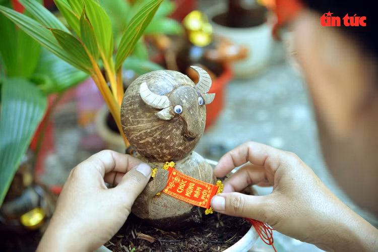Dịp Tết Tân Sửu 2021, dừa bonsai hình trâu cũng trở thành sản phẩm độc đáo được khách hàng thi nhau đặt mua. Ảnh: Báo tin tức