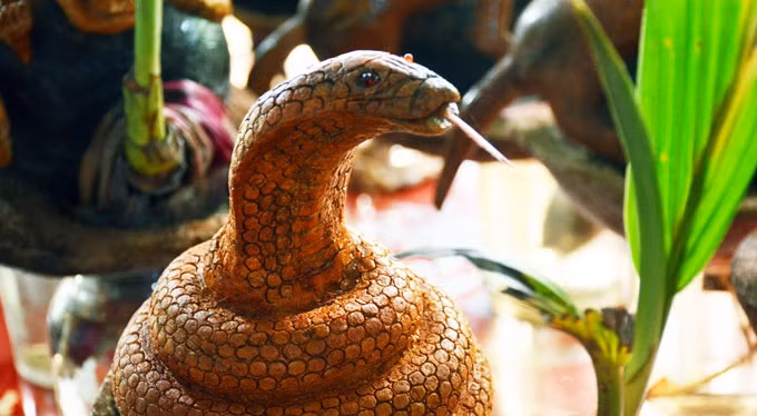 Bonsai dừa tạo hình con rắn khiến khách hàng trầm trồ. Ảnh: Dân Việt